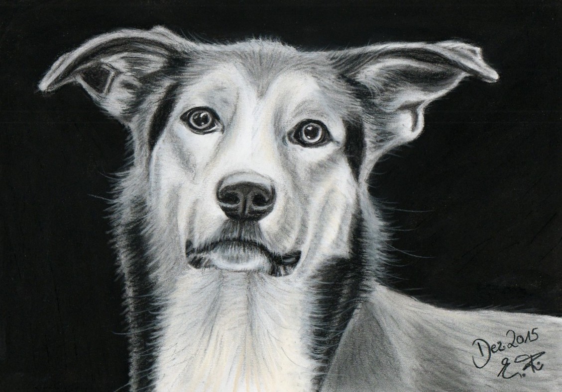 Thea
Pastellkreide DIN A4