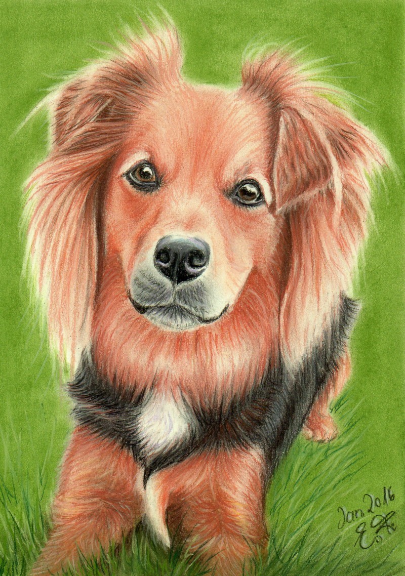 Pastellkreide DIN A4